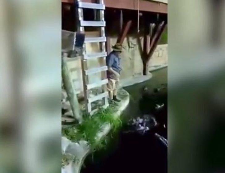 Yürekleri ağza getiren olay! Timsahların arasına düştü G2