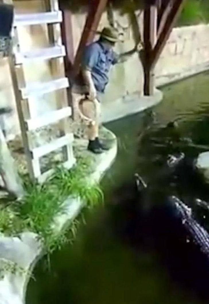 Yürekleri ağza getiren olay! Timsahların arasına düştü G3