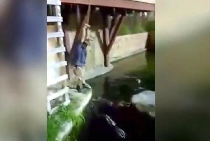 Yürekleri ağza getiren olay! Timsahların arasına düştü G4