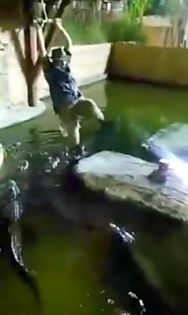 Yürekleri ağza getiren olay! Timsahların arasına düştü G5