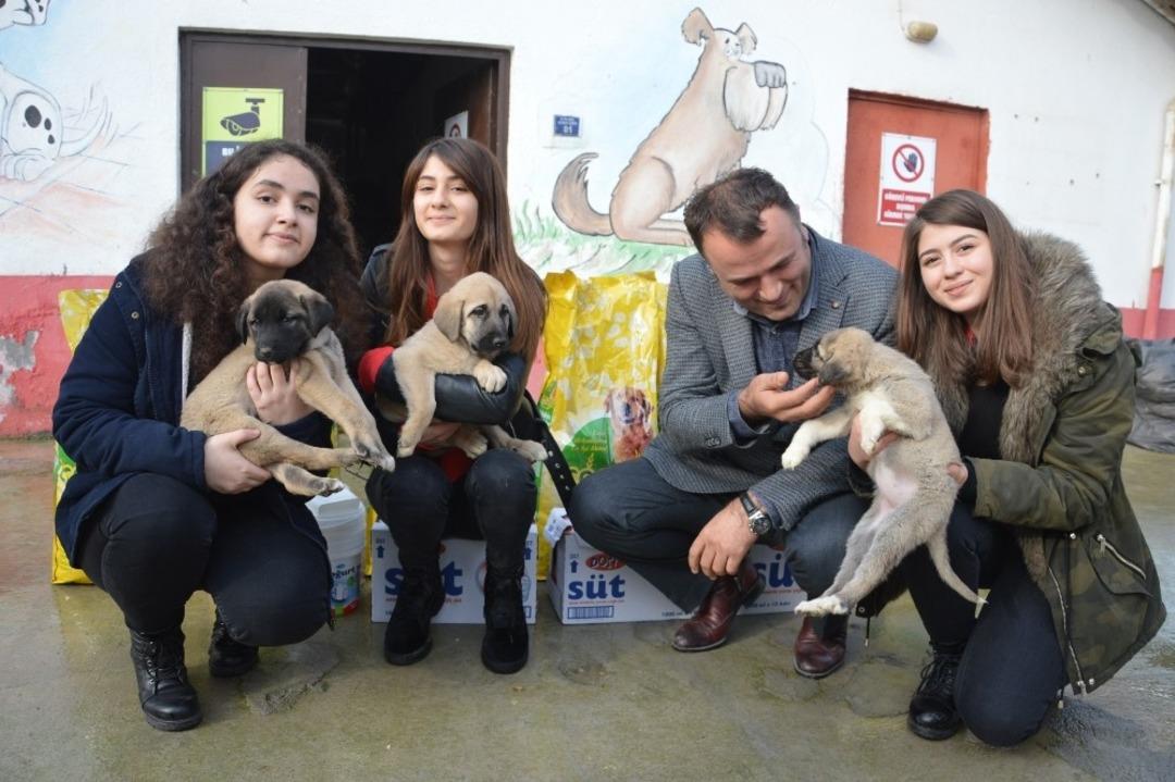 Har&ccedil;lıkları ile k&ouml;peklere mama aldılar