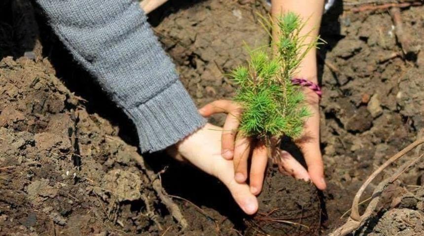 Kalınsaz; &ldquo;Toprağı koruyamazsak iklimi koruyamayız&rdquo;