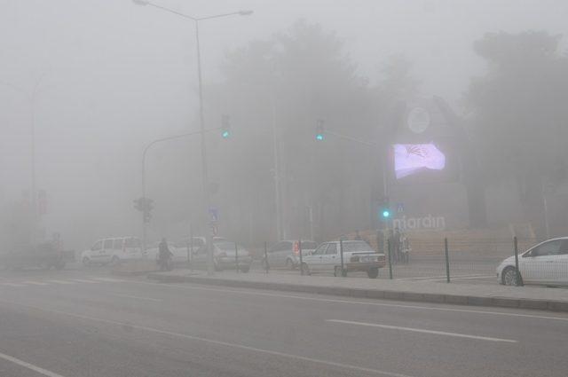 Mardin’de sis etkili oldu