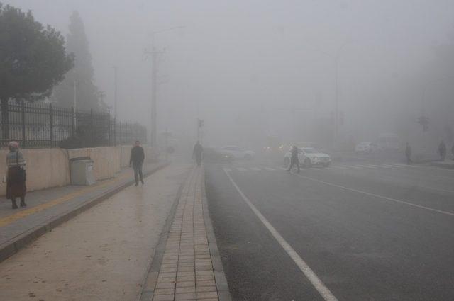 Mardin’de sis etkili oldu