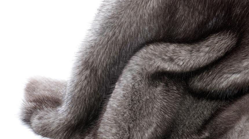 Chanel moda &uuml;r&uuml;nlerinde artık egzotik hayvan derisi kullanmayacak