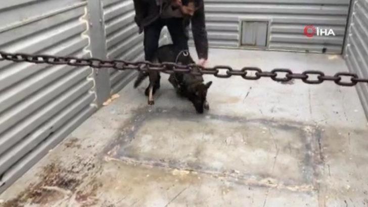 Polis bile şaşırdı! Hepsi buradan çıktı G1