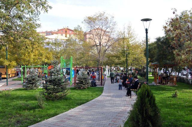 On yılda 169 park