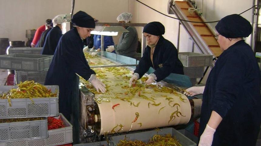 Salihli OSB&rsquo;de istihdam rekoru kırıldı