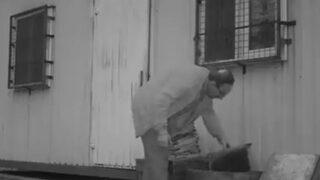 Trabzon'da akılalmaz olay! Ayıları önce kovaladı sonra özür dileyip bal verdi