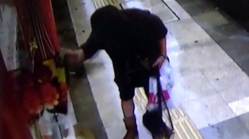 Kedi battaniyesini hırsıza kaptırmamak i&ccedil;in b&ouml;yle direndi