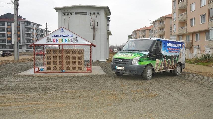 Akşehir Belediyesinden &lsquo;Kedi Evi&rsquo; projesi