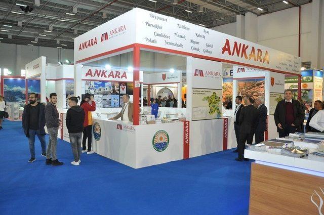 Ankara Travel Turkey İzmir’de