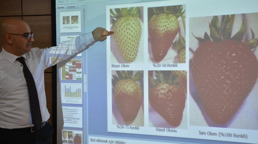 &Ccedil;ilek &uuml;reticisi 4 bin lira harcadı, 20 bin lira kazandı