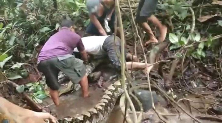 Kütüğe bastığını sandı ama... Korkunç anlar G1