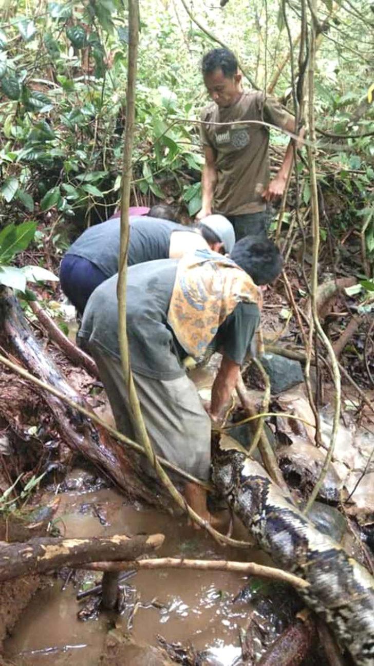 Kütüğe bastığını sandı ama... Korkunç anlar G4
