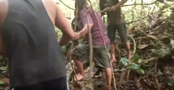 Kütüğe bastığını sandı ama... Korkunç anlar G5