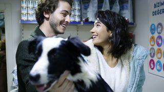 Boran Kuzum ve Aybüke Pusat, sokak hayvanlarına dikkat çekecek! 