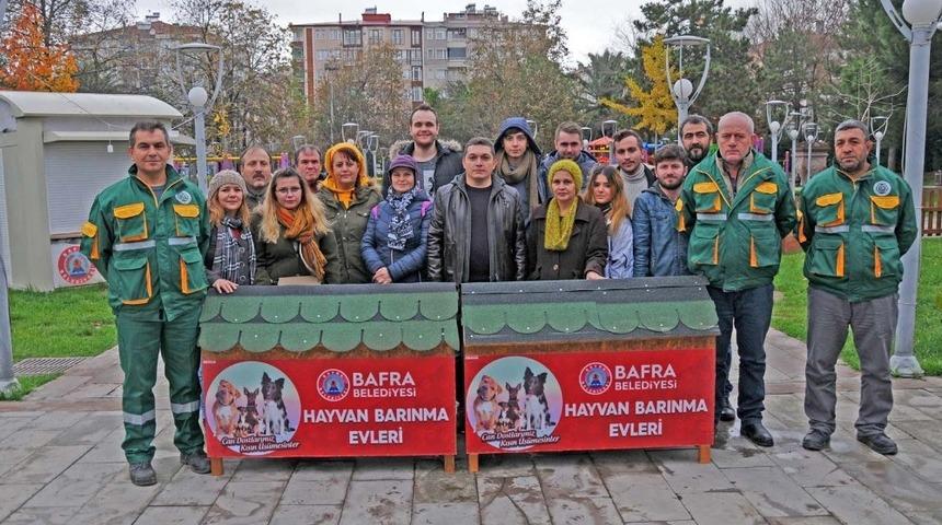 Sokak k&ouml;pekleri artık &uuml;ş&uuml;meyecek