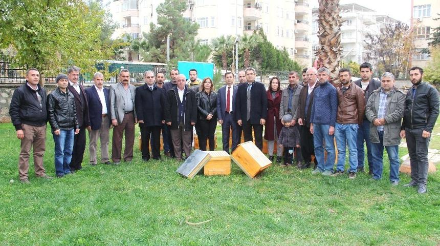 Organik arı kovanı dağıtıldı