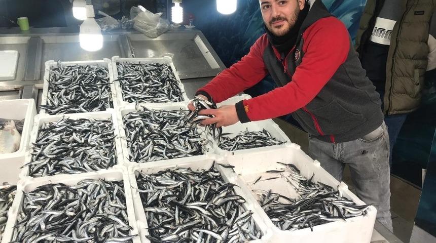 Hamsi satışlarında patlama yaşanıyor