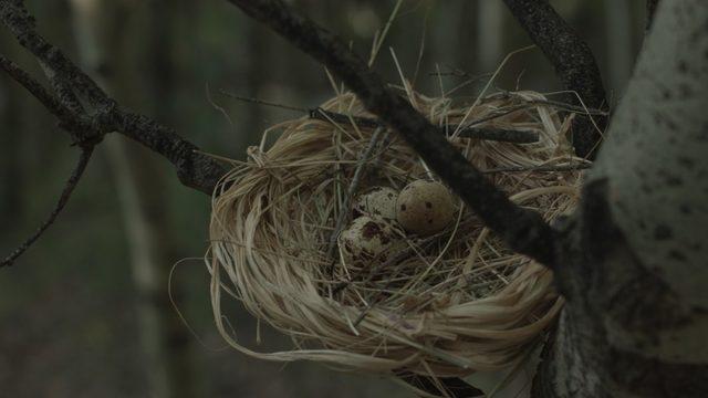 BÜSAM Film Akademi Belgrad’daki uluslararası festivalde büyük ödülü aldı