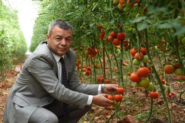 Antalya’da ‘Gelin Kardeş Olalım’ Projesi