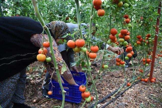 Antalya’da ‘Gelin Kardeş Olalım’ Projesi