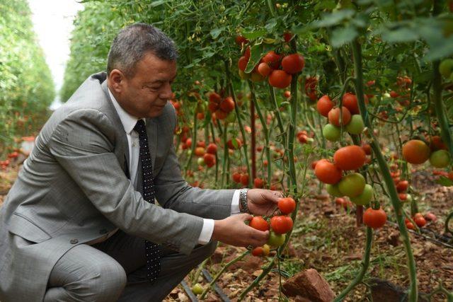 Antalya’da ‘Gelin Kardeş Olalım’ Projesi