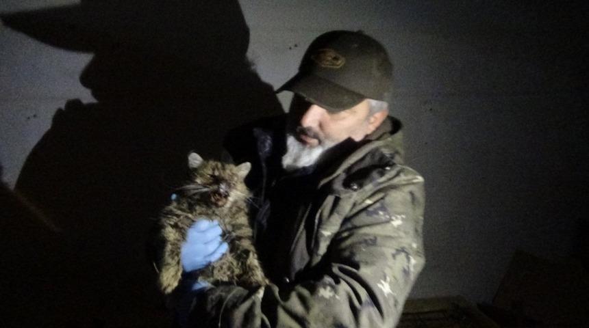 Yaralı kedi i&ccedil;in gece yarısı seferberlik