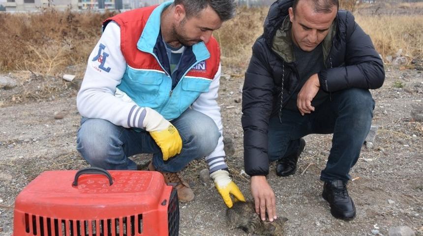 K&uuml;&ccedil;&uuml;k dostlar ambulansı bin 516 hayvana m&uuml;dahale etti