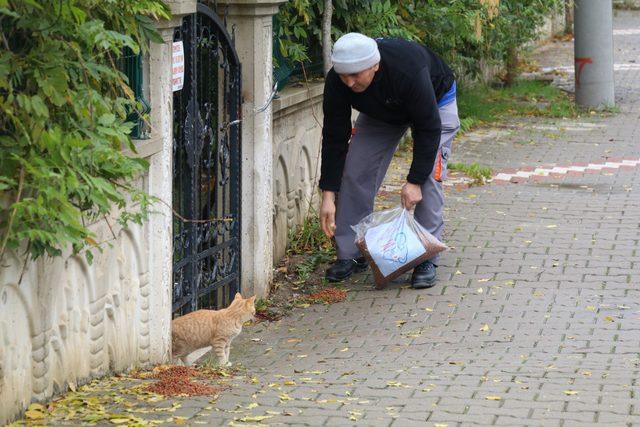 Yalova’da sokaklara hayvanlar için yiyecek bırakıldı