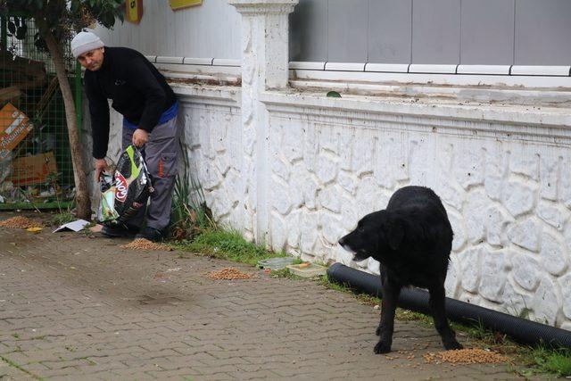 Yalova’da sokaklara hayvanlar için yiyecek bırakıldı