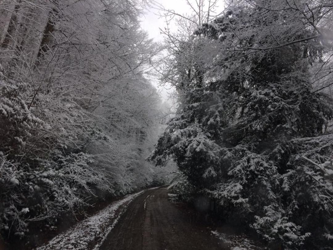 Ormancı g&ouml;z&uuml;yle Yenice ormanlarında kar manzarası