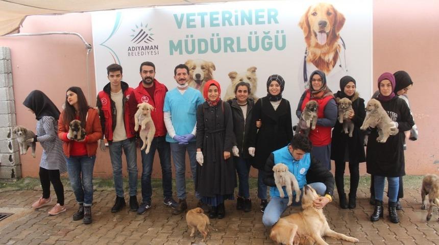 Gen&ccedil;lerin &lsquo;iyilik ağacı&rsquo; b&uuml;y&uuml;yor