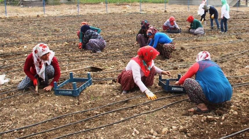 Kadın &ccedil;ift&ccedil;iler salep &uuml;retecek