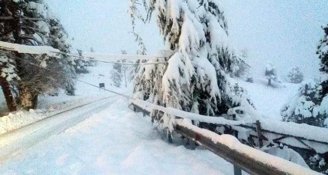 Saklıkent'te yoğun kar elektrik direklerini devirdi