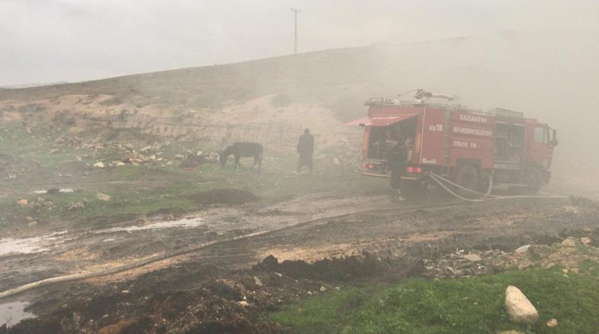 Eşeğin peşinden giden koyunlar yangında telef oldu