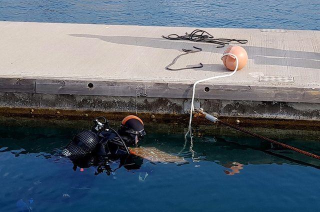 Çeşme Marina, iki Kalamar yuvası yerleştirdi