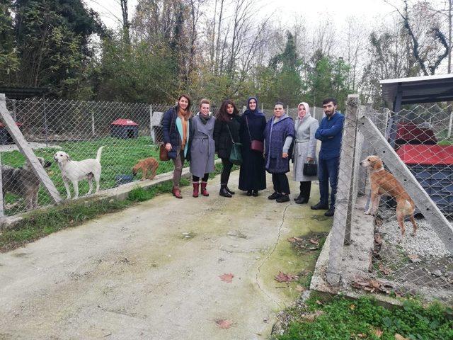 Sapanca Kadın Meclisin’den hayvan barınağına ziyaret