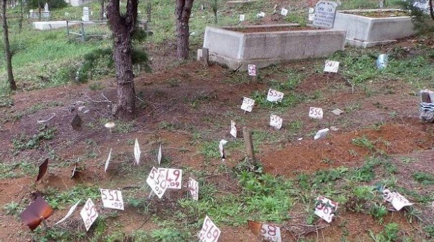 Marmara Depremi'nde kimsesizler mezarlığına defnedilenler için aileler DNA testi yaptırıyor