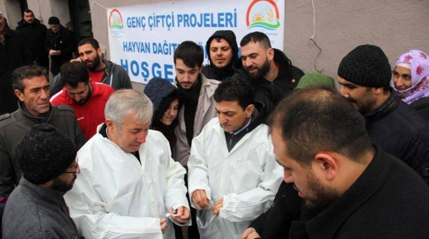 Yalovalı gen&ccedil; &ccedil;ift&ccedil;ilere b&uuml;y&uuml;k baş hayvan dağıtıldı