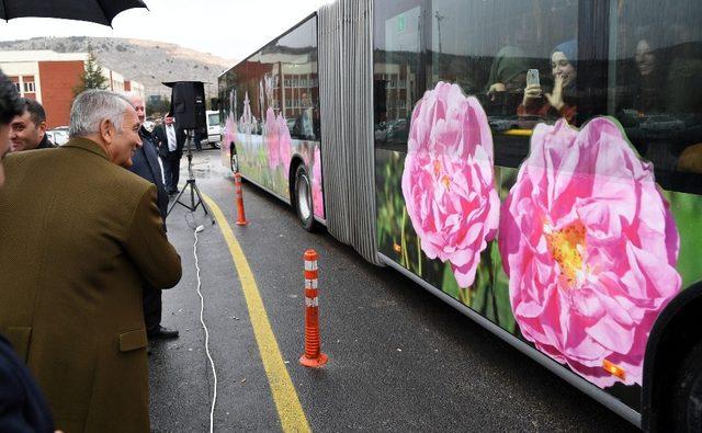 Isparta Belediyesi parklarda ücretsiz internet kuruyor