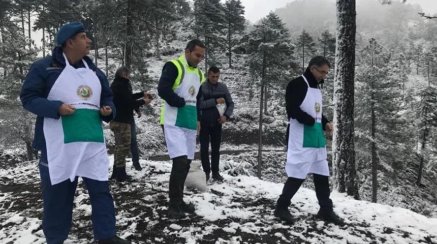 Kaymakam kar &ccedil;amur demedi ağa&ccedil; dokunu dikti