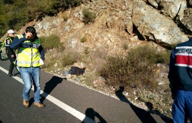 Muğla’da-Köyceğiz Karayolunda ceset bulundu