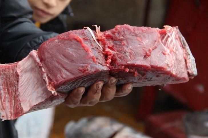 Şanlıurfa'da büyük şaşkınlık! Görenler hayretle izledi G4