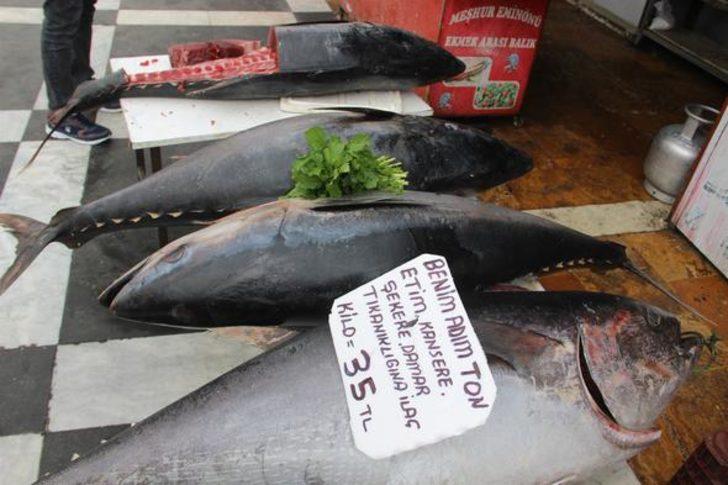 Şanlıurfa'da büyük şaşkınlık! Görenler hayretle izledi G5