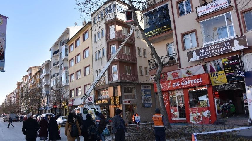 Ağa&ccedil;lar kışa hazırlanıyor