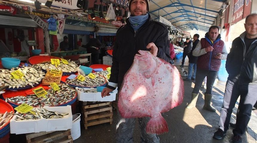 Balıkların paşası 750 liraya alıcı buldu
