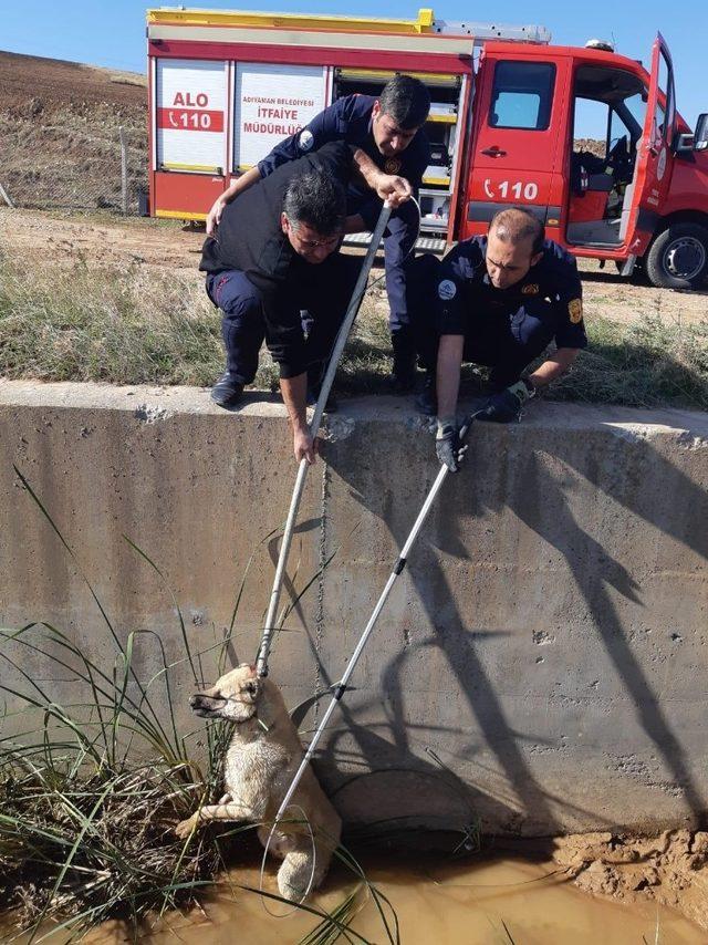 Su kanalına düşen köpek kurtarıldı