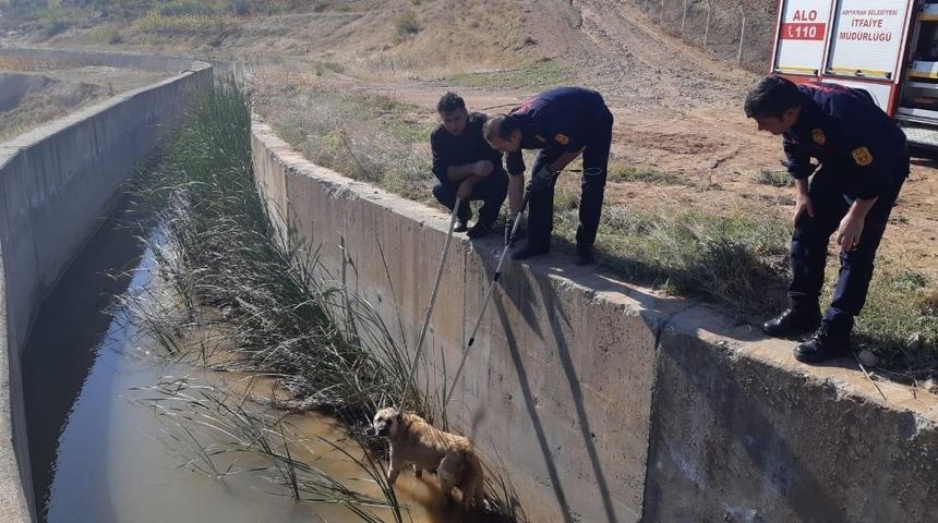 Su kanalına düşen köpek kurtarıldı